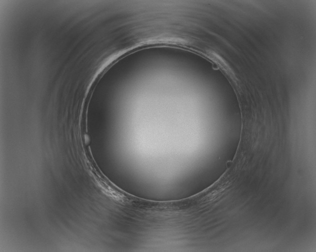 X0000051921044200507011554