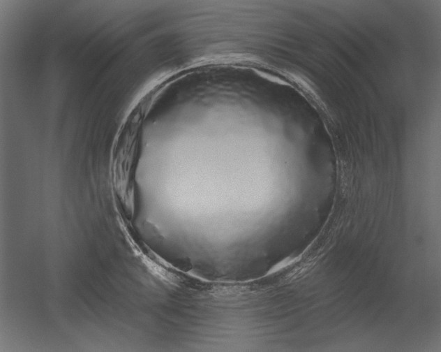 X0000051921046200507011554