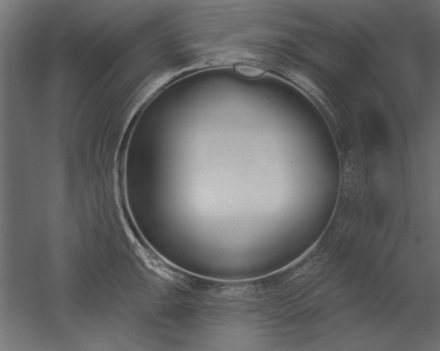 X0000051921047200507011554