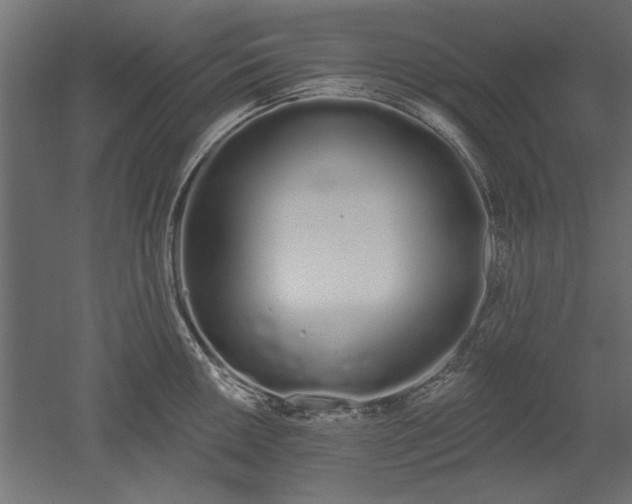 X0000051921050200507011554