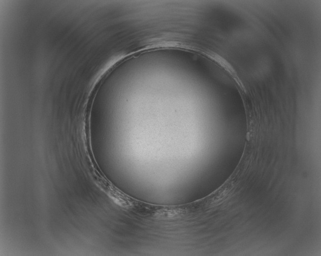 X0000051921051200507011555