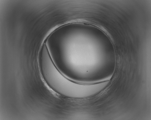 X0000051921054200507011555