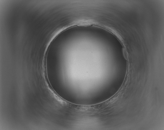 X0000051921056200507011555