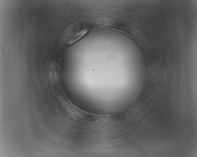 X0000051921058200507011554