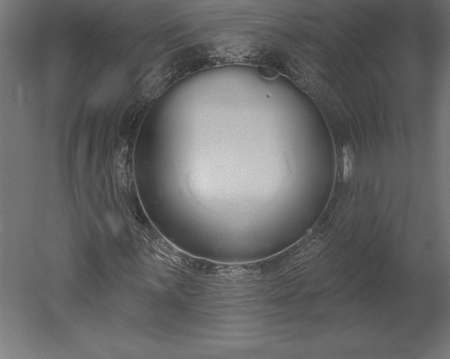 X0000051921059200507011554