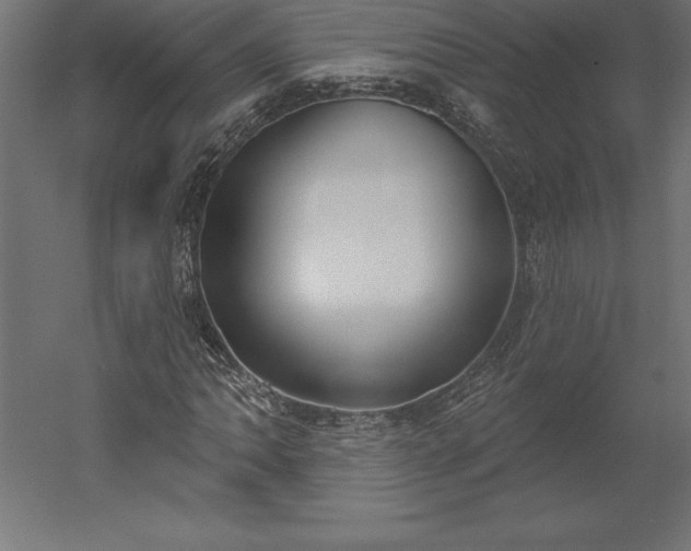 X0000051921062200507011554