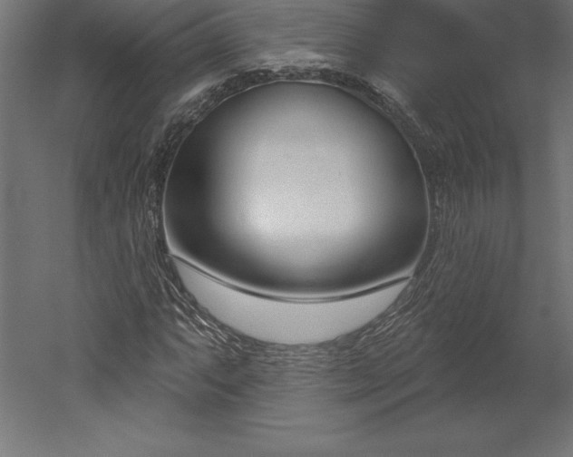 X0000051921063200507011554