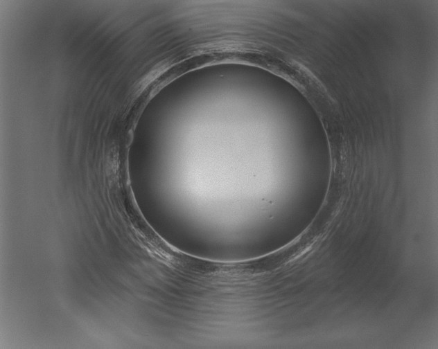 X0000051921065200507011554