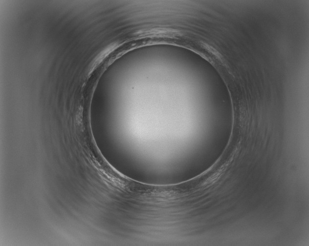 X0000051921066200507011554