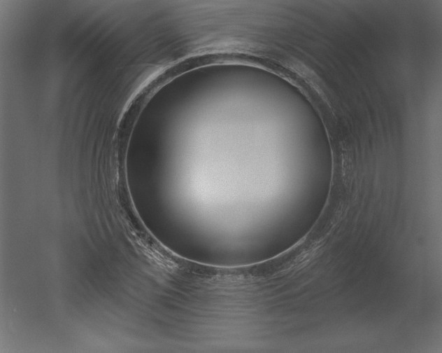 X0000051921069200507011554