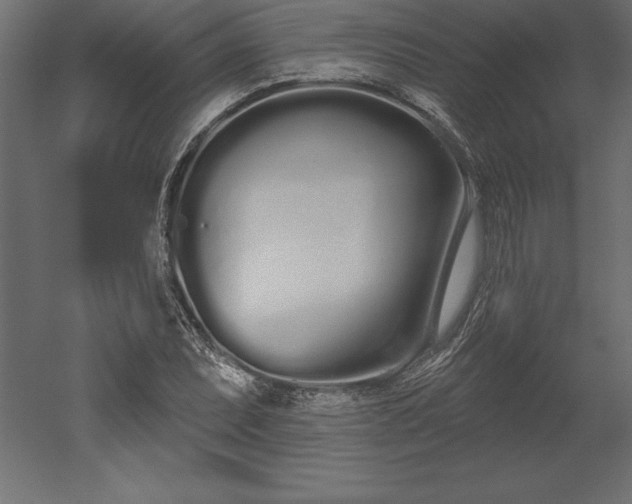 X0000051921071200507011554