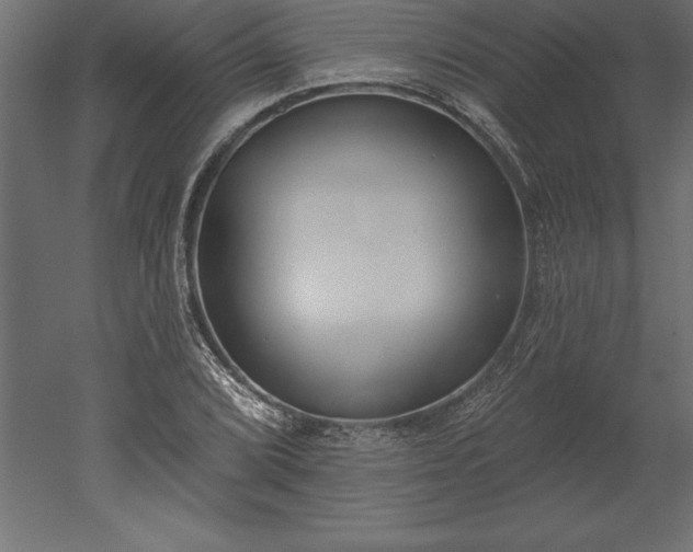 X0000051921072200507011554