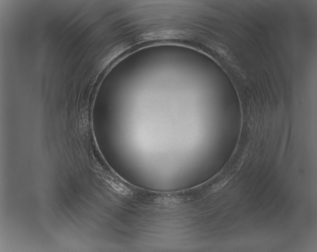 X0000051921073200507011554