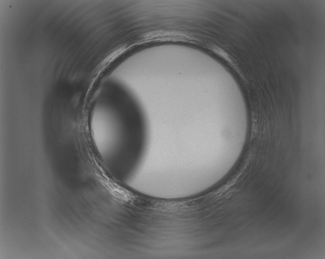 X0000051921074200507011553