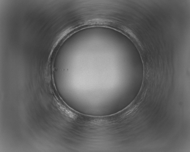 X0000051921075200507011553
