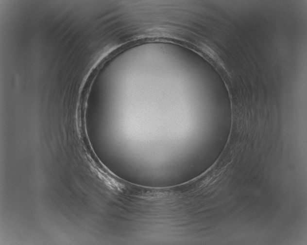 X0000051921076200507011553