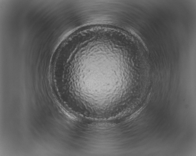 X0000051921077200507011553