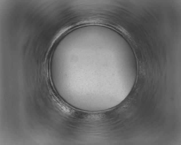 X0000051921078200507011553