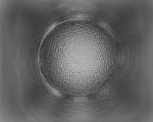 X0000051921083200507011553