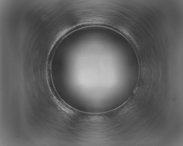 X0000051921085200507011553