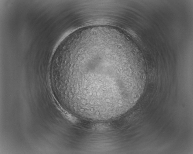 X0000051921086200507011553