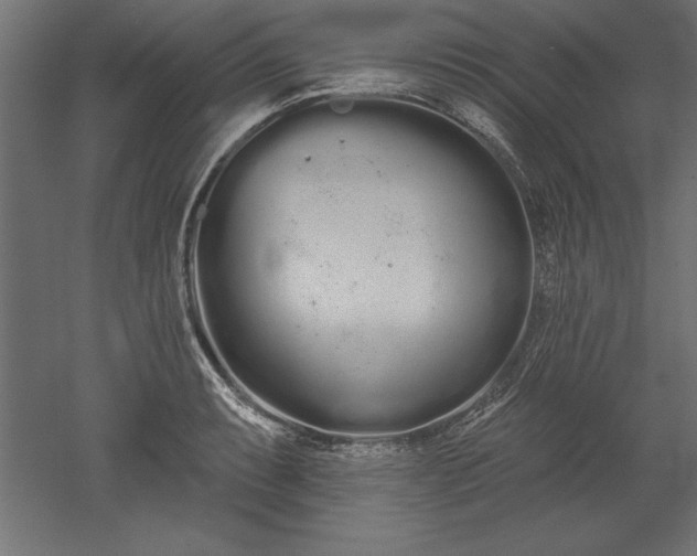 X0000051921087200507011553