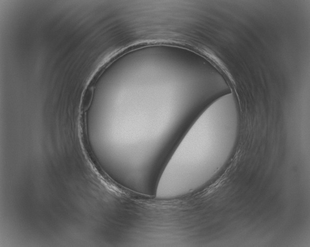 X0000051921093200507011553