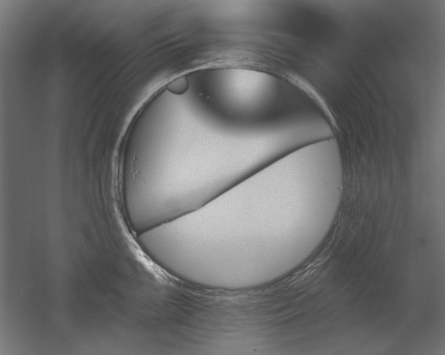 X0000051921099200507011553
