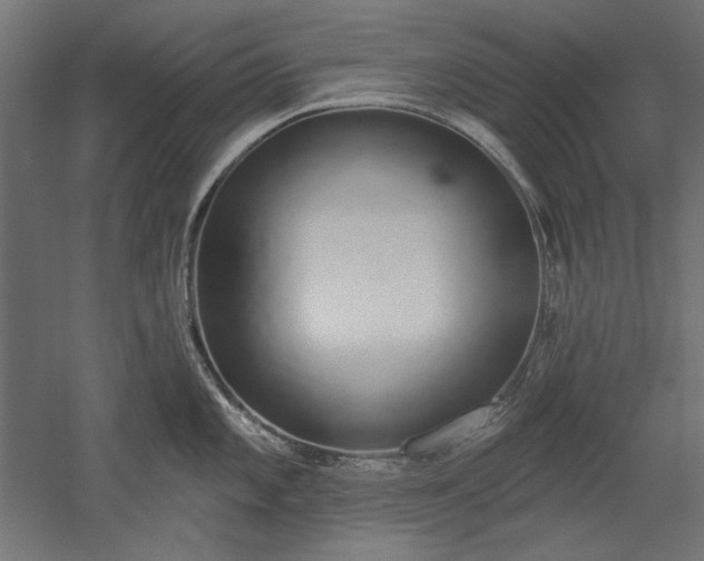 X0000051921101200507011553