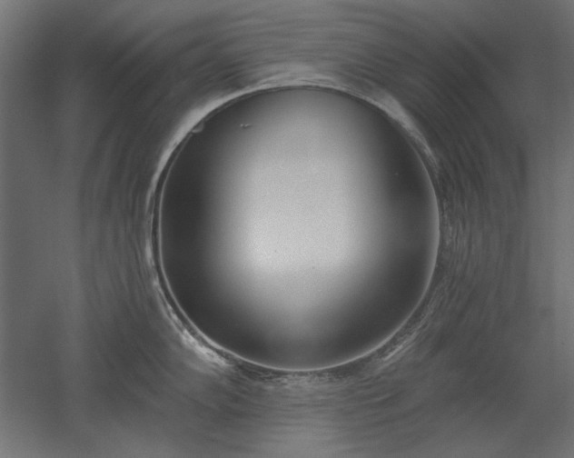 X0000051921102200507011553