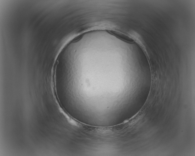 X0000051921103200507011553