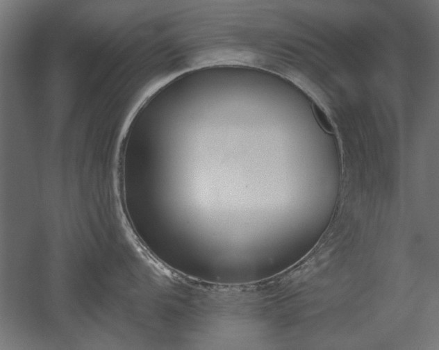 X0000051921104200507011553