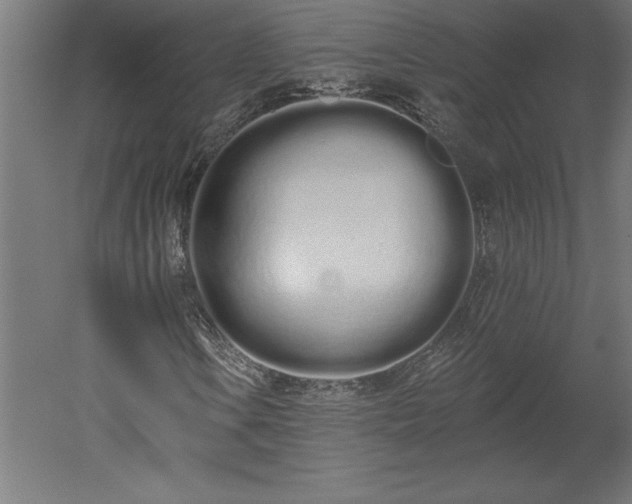 X0000051921106200507011552