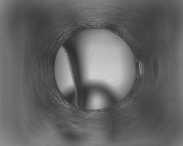 X0000051921107200507011552