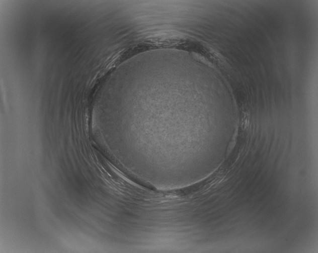 X0000051921108200507011552