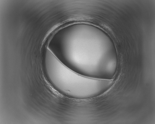 X0000051921114200507011552