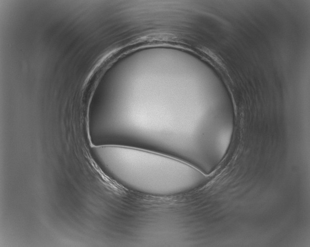 X0000051921115200507011552