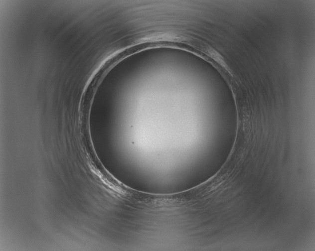 X0000051921116200507011552