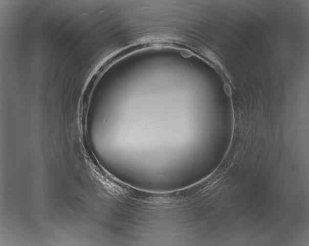 X0000051921124200507011552