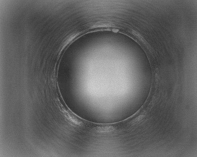 X0000051921129200507011553