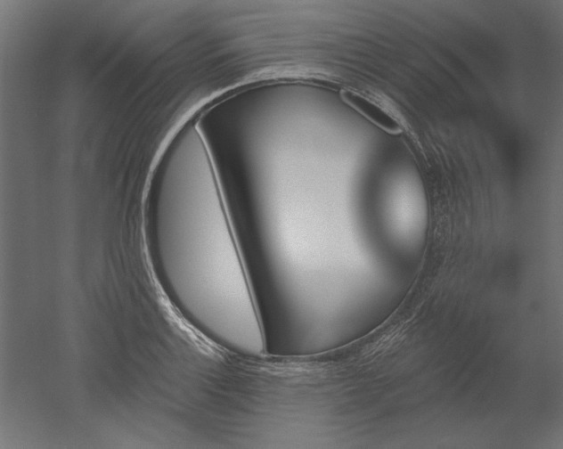 X0000051921132200507011553