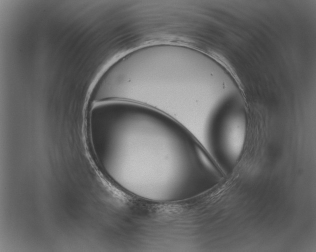X0000051921136200507011553