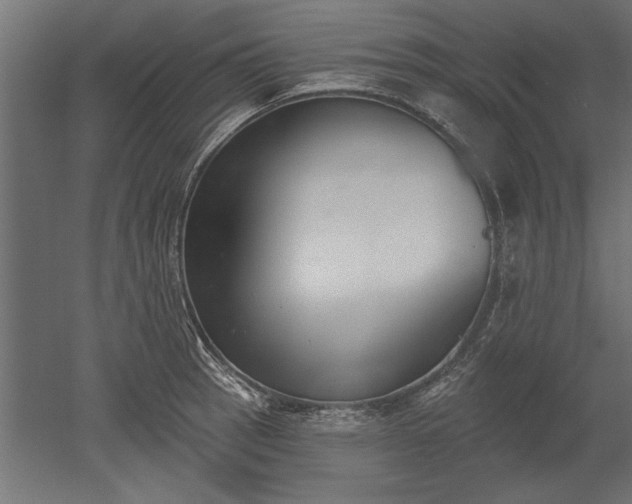 X0000051921137200507011553