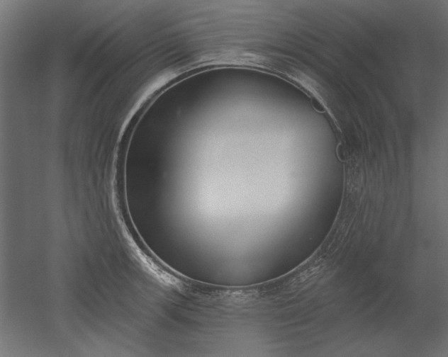 X0000051921139200507011553