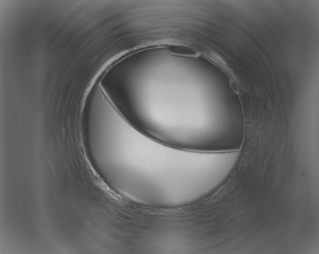 X0000051921140200507011553
