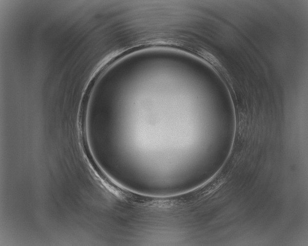 X0000051921141200507011553