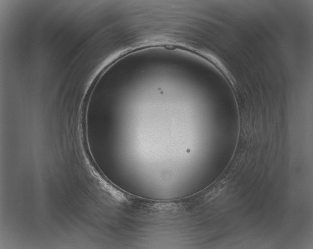 X0000051921142200507011553