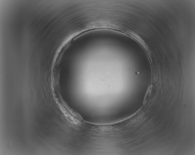 X0000051921144200507011553