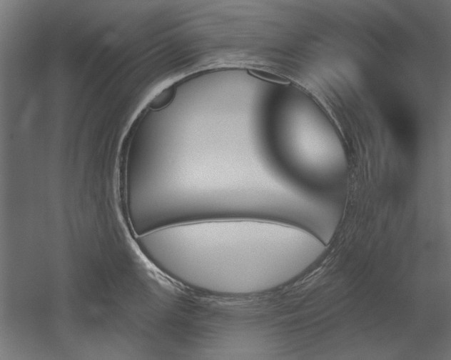 X0000051921147200507011553