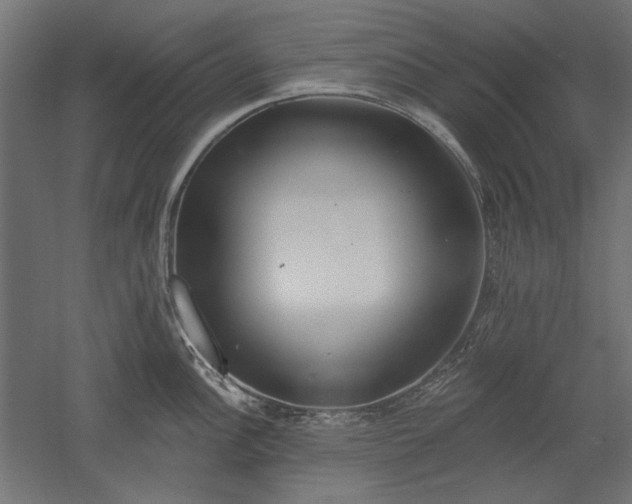X0000051921148200507011553